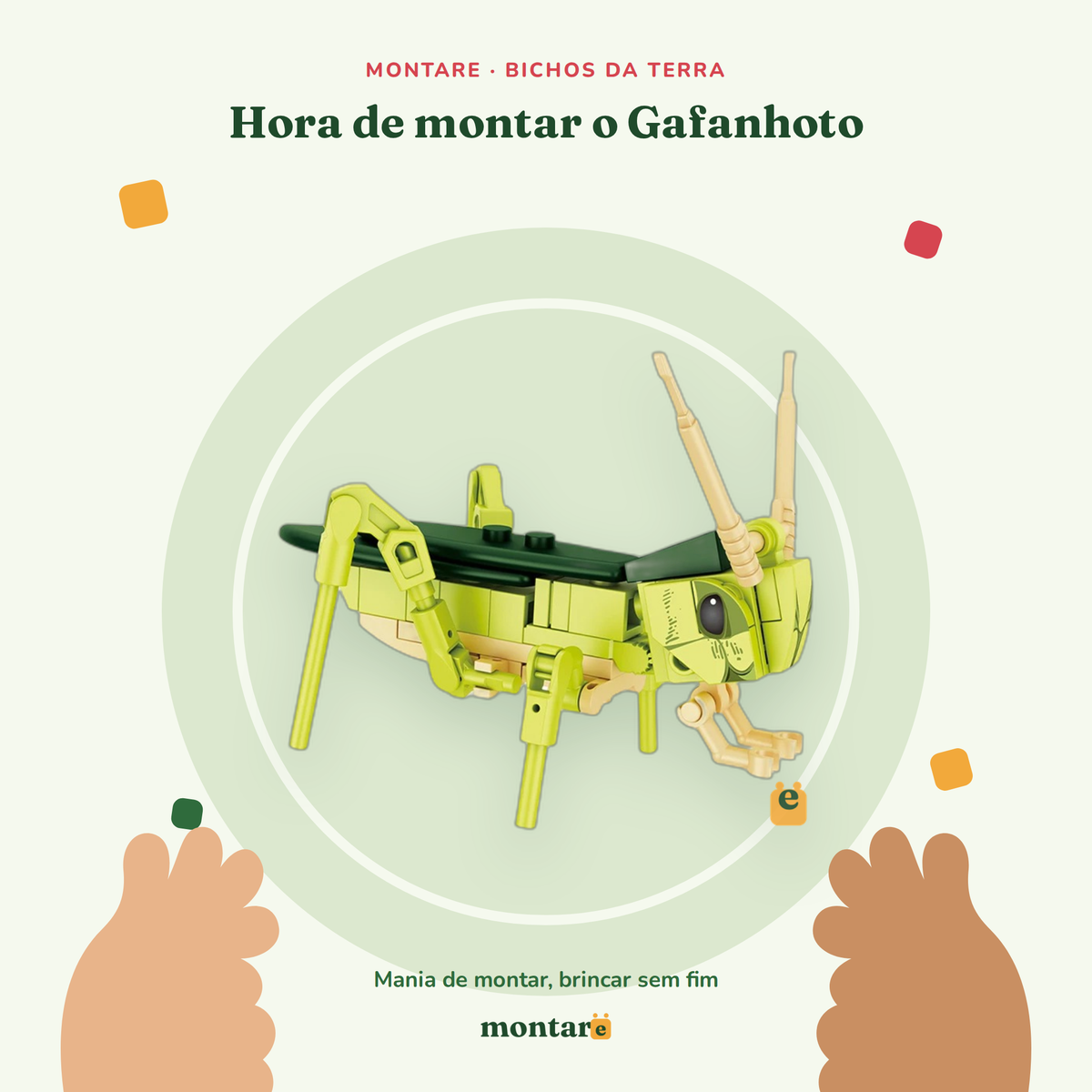 Gafanhoto