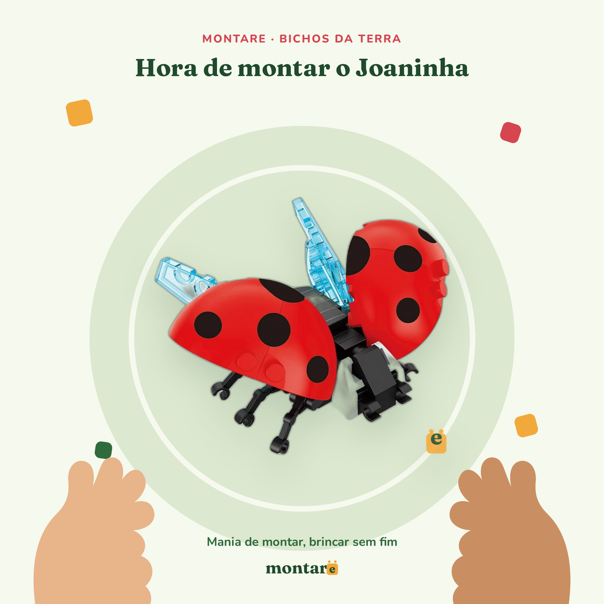 Joaninha