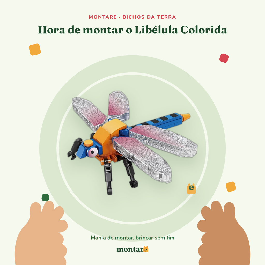 Libélula