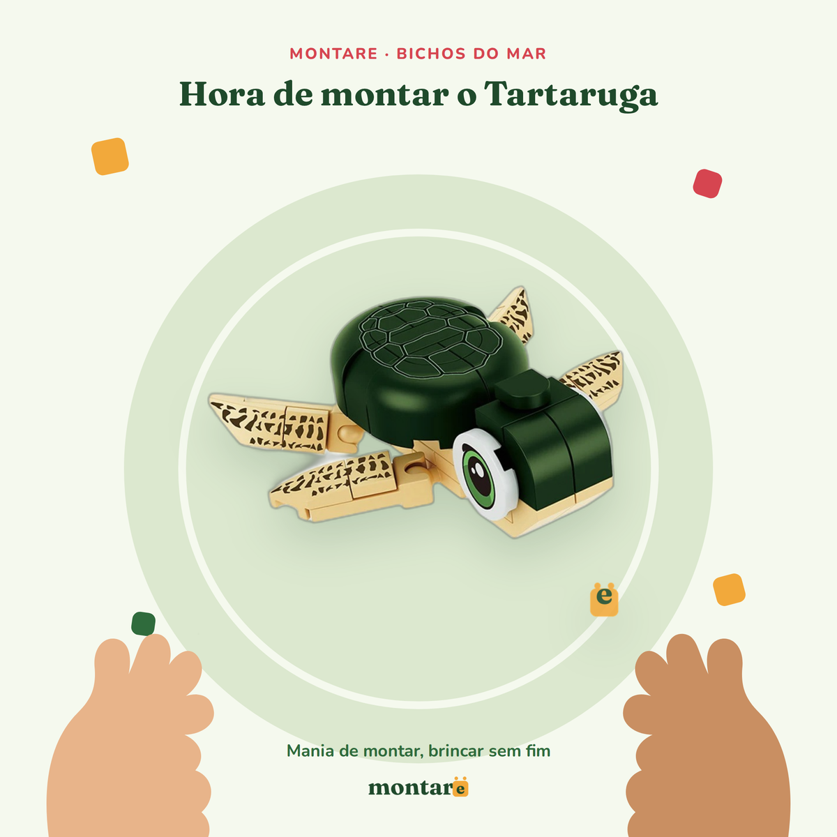 Tartaruga