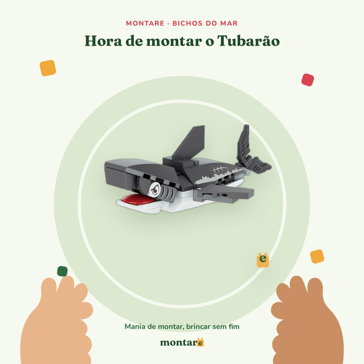 Tubarão